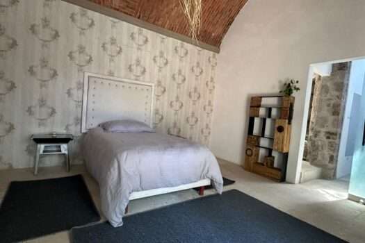 Atotonilco One Bedroom Apartment